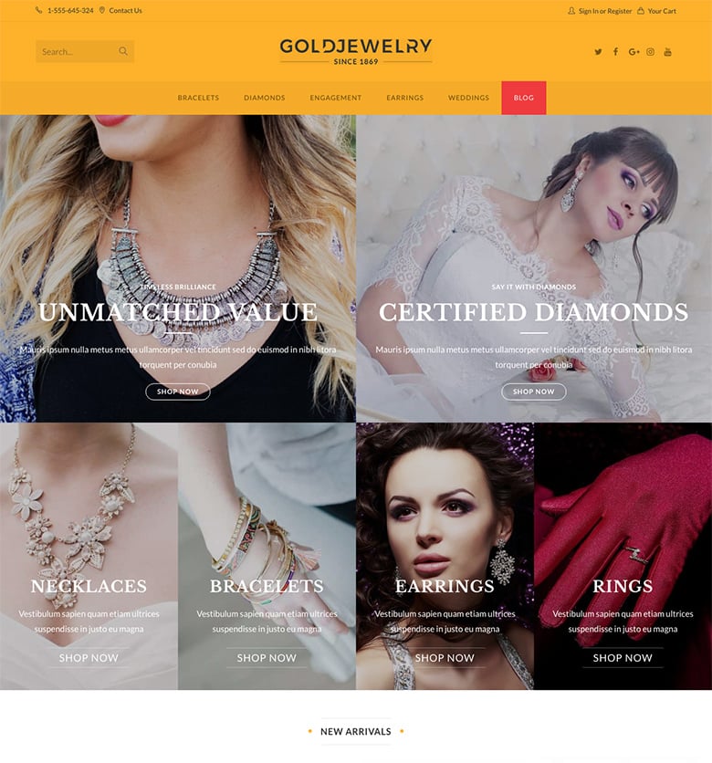 OceanWP theme preview