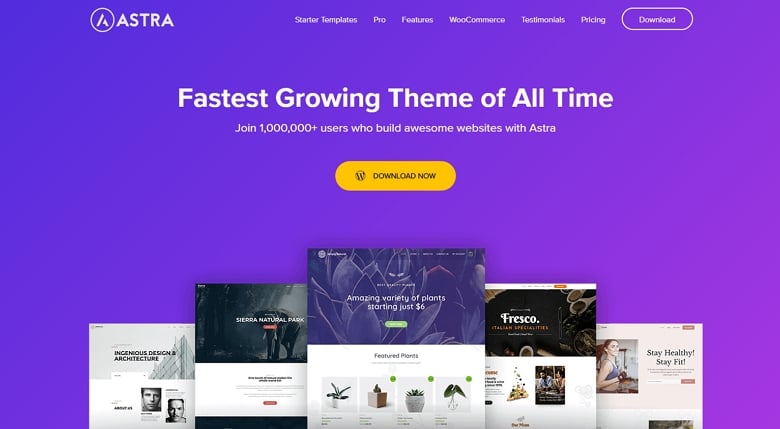 astra theme wordpress 5.9