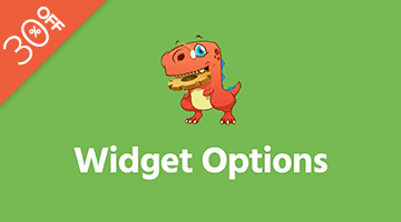 Widget Options WordPress Black Friday Deal