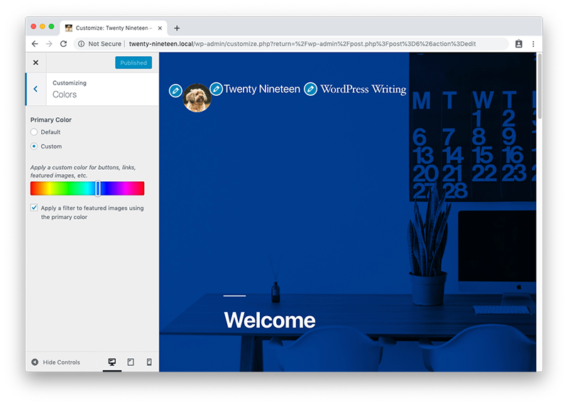 Accent color picker in Twenty Nineteen's Customizer