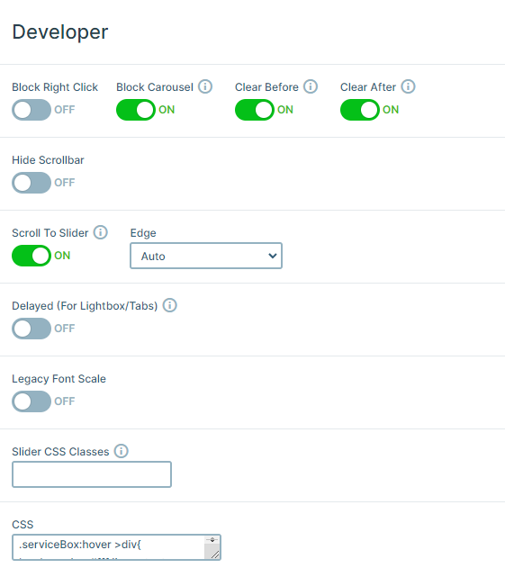 Custom CSS in Smart Slider's Developer settings